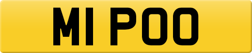 M1POO