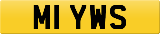 M1YWS