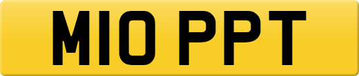 M10PPT