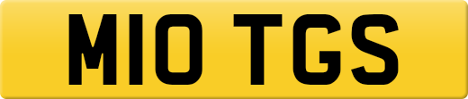 M10TGS