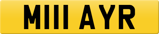 M111AYR