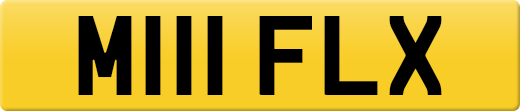 M111FLX
