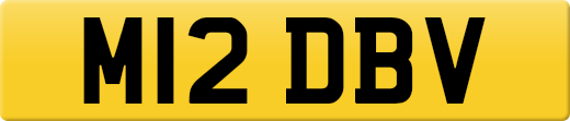 M12DBV
