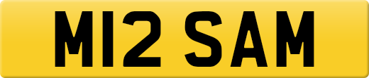 M12SAM
