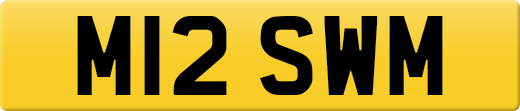 M12SWM