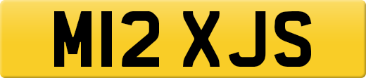M12XJS