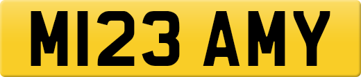 M123AMY