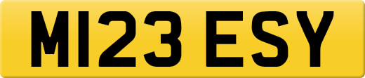 M123ESY