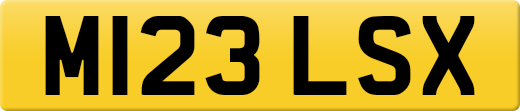 M123LSX