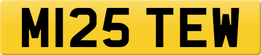 M125TEW