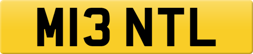 M13NTL