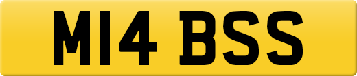 M14BSS