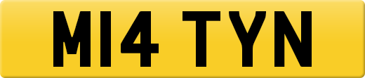 M14TYN