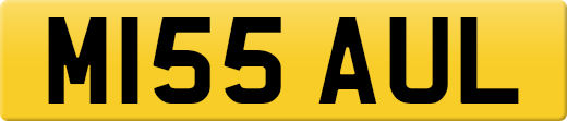 M155AUL