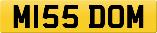 M155DOM