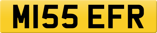 M155EFR