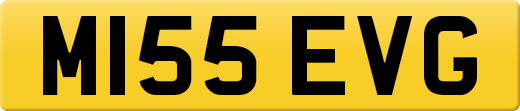 M155EVG