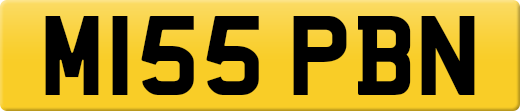 M155PBN
