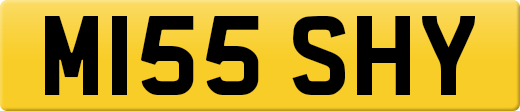 M155SHY