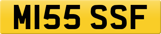 M155SSF