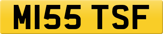 M155TSF