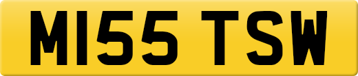M155TSW