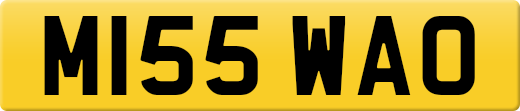 M155WAO