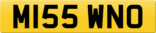 M155WNO