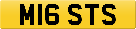 M16STS