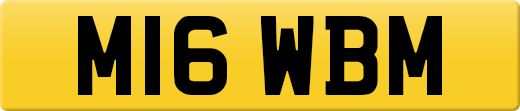 M16WBM