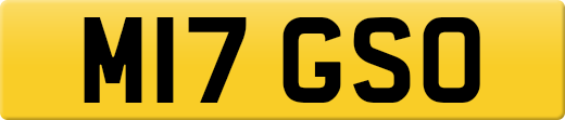 M17GSO