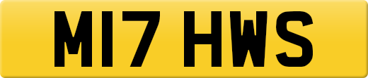 M17HWS
