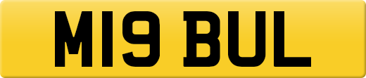 M19BUL