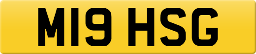 M19HSG