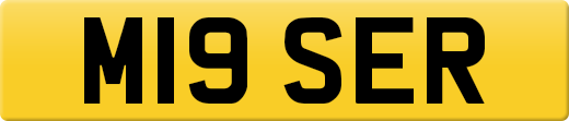 M19SER
