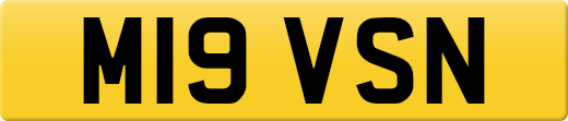 M19VSN