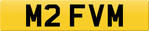 M2FVM