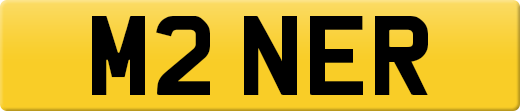 M2NER