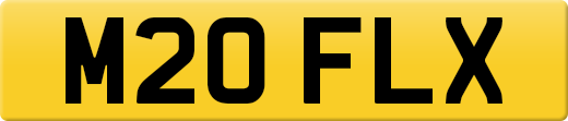 M20FLX