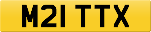 M21TTX
