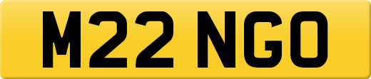 M22NGO