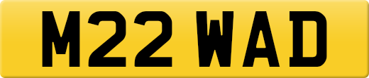 M22WAD