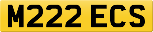 M222ECS