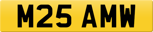 M25AMW