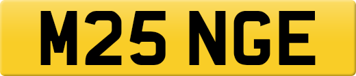 M25NGE