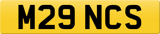 M29NCS