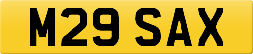 M29SAX