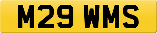 M29WMS