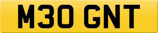 M30GNT