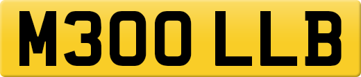 M300LLB